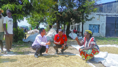 چین عالمی ترقیاتی چیلنجز سے نمٹنے کے لیے دانش اور طاقت فراہم کر رہا ہے 