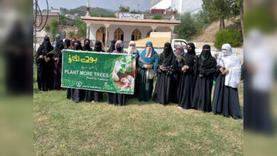 دیر پائین: گرلز تعلیمی اداروں میں شجرکاری مہم، ہفتہ خواتین کا آغاز