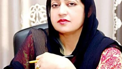 ہنر مند بیٹی؛ خوشحال ہنر مند پنحاب