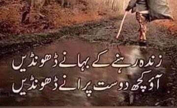  پرانے دوست: بوجھ یا خزانہ؟