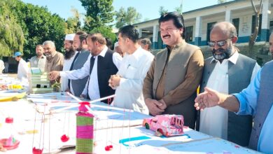 تیمرگرہ: گورنمنٹ ہائی سکول رانی میں پہلی بار سائنسی نمائش