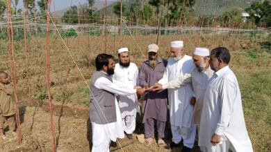 الفلاح آرگنائزیشن بنڑگے تالاش کے زیر اہتمام کاشتکاروں کے لیے آگاہی سیشن کا انعقاد