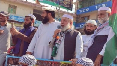 تیمرگرہ جماعت اسلامی کا فلسطینی عوام کی حمایت میں احتجاجی مظاہرہ