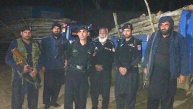 باجوڑ: غیر قانونی جنگلات کٹائی کی کوشش ناکام، دو ڈائنہ گاڑیاں ضبط