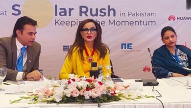 ماہرین کا حکومت سے پاکستان کے قابل تجدید توانائی کے شعبے