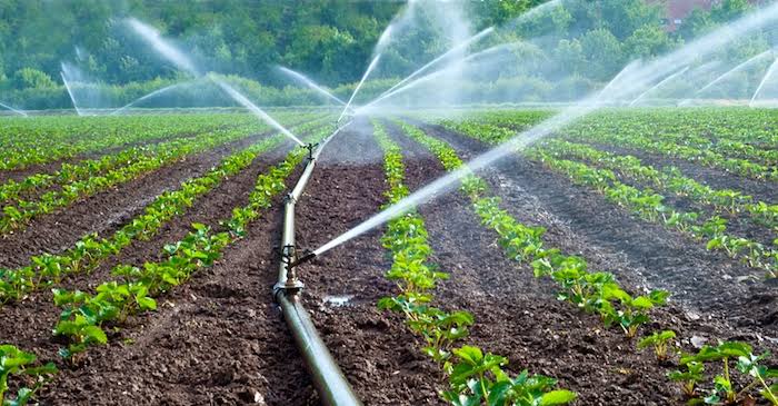 خیبرپختونخوا میں 10,930 ایکڑ زرعی اراضی کو سیراب کرنے کے لیے آبپاشی منصوبہ تیار