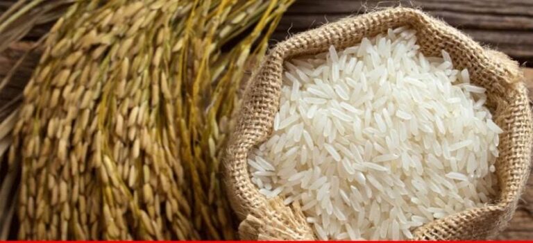 پاکستان نے چاول کی پیداوار بڑھانے کا چھ سالہ منصوبہ مکمل کر لیا