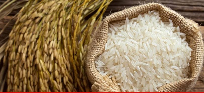 پاکستان نے چاول کی پیداوار بڑھانے کا چھ سالہ منصوبہ مکمل کر لیا