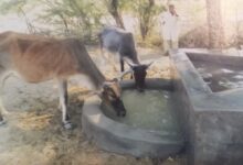 سندھ، خیبرپختونخوا میں بارش کا پانی ذخیرہ کرنے کے منصوبوں سے 67 ہزار افراد، 98 ہزار مویشی مستفید