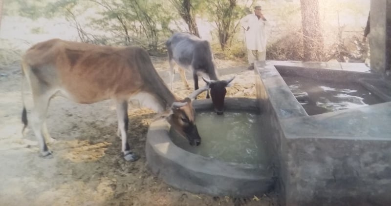 سندھ، خیبرپختونخوا میں بارش کا پانی ذخیرہ کرنے کے منصوبوں سے 67 ہزار افراد، 98 ہزار مویشی مستفید