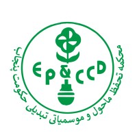 خواتین کے 800 کاروباری منصوبوں کی معاونت کے لیے ڈیڑھ کروڑ ڈالر کا گرین فنانس منصوبہ تجویز