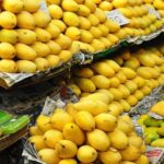 پاکستان کی 49 ممالک کو آموں کی برآمدات 10 کروڑ 70 لاکھ ڈالر سے تجاوز کر گئیں